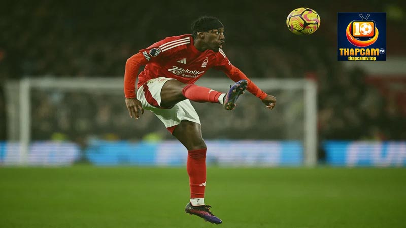 anthony elanga tại nottingham forest