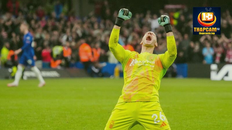 matz sels và những thành tích đạt được