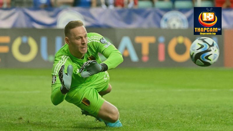 sự nghiệp matz sels